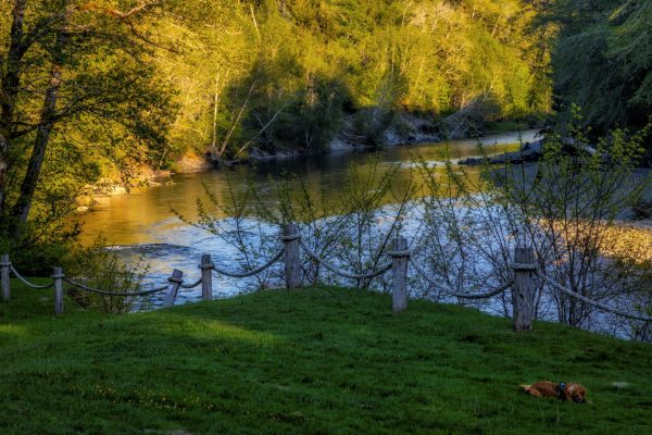 _MG_4383-Edit