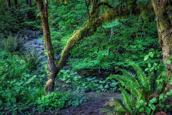 _MG_4572-Edit
